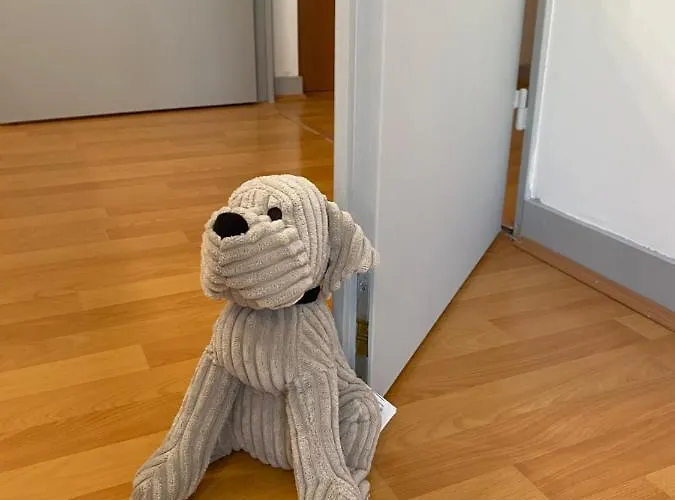 Apartment Parking Prive Gratuit, Balcon, 2 *